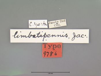 Media type: image; Entomology 9786   Aspect: labels